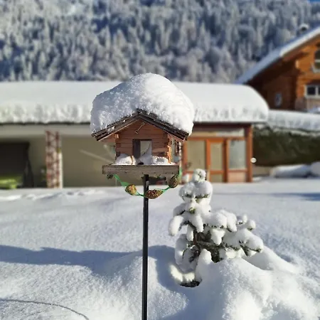 Pollhammer Sankt Gallenkirch