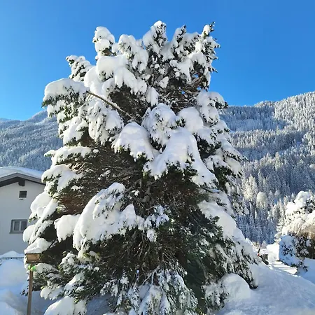 Διαμέρισμα Pollhammer